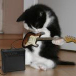 Meet your Posher, Angel